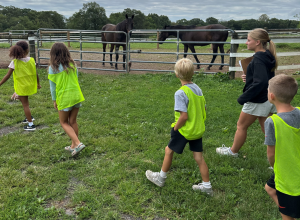 First Impressions Childcare