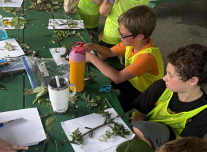 First Impressions Childcare